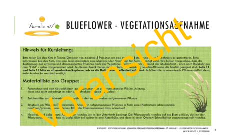 BLUEFLOWER - Vegetationsaufnahme - S. 2