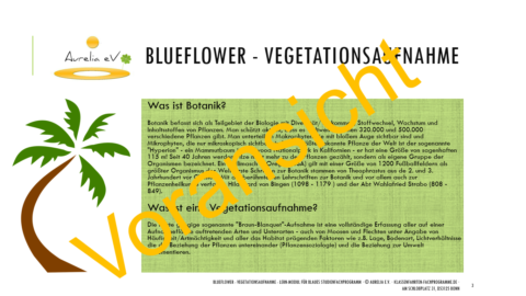 BLUEFLOWER - Vegetationsaufnahme - S. 3