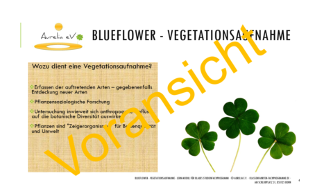 BLUEFLOWER - Vegetationsaufnahme - S. 4