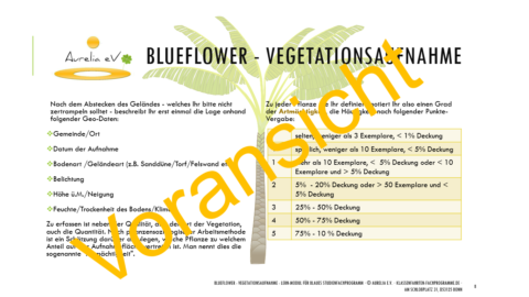 BLUEFLOWER - Vegetationsaufnahme - S. 8