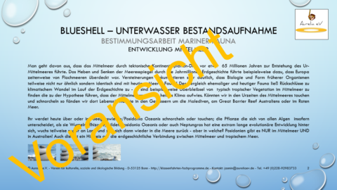 Aurelia Lernmodul BLUESHELL