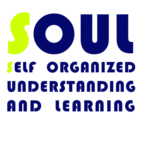 SOUL SELF ORGANIZED UNDERSTANDING AND LEARNING