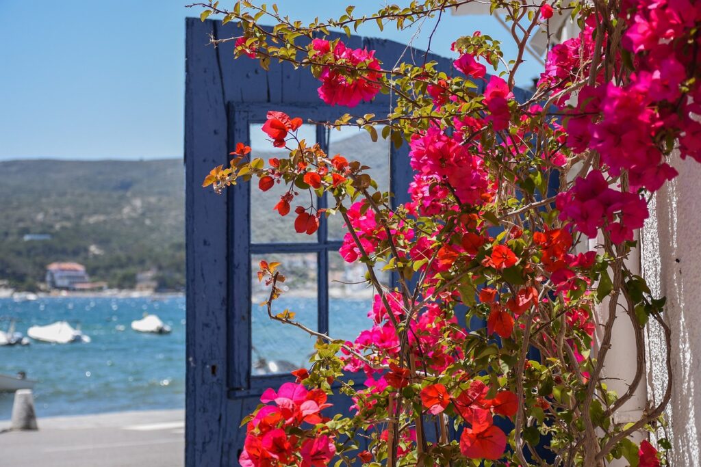 Meeresbiologie an der Costa Brava